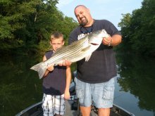 image stripes 003.JPG